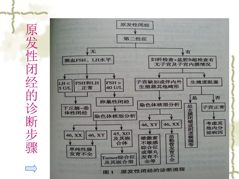 中医妇科闭经.ppt_第3页