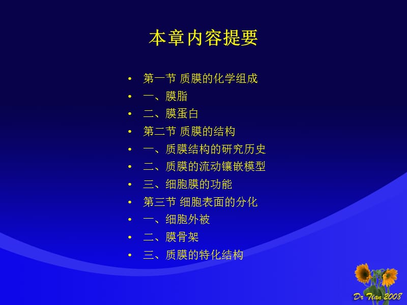 细胞的奥秘.ppt_第2页