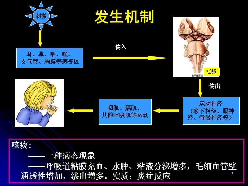 诊断学课件：咳嗽与咳痰.ppt_第3页