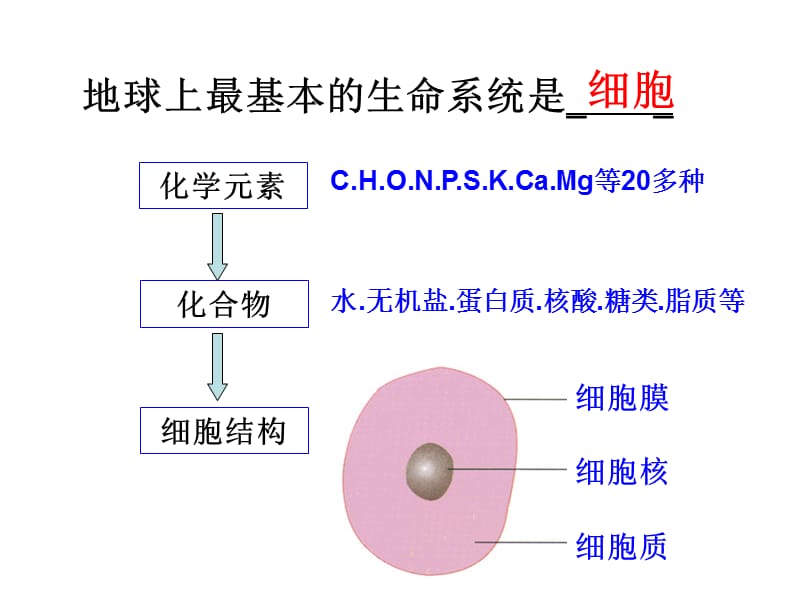 细胞膜3.1.ppt_第1页