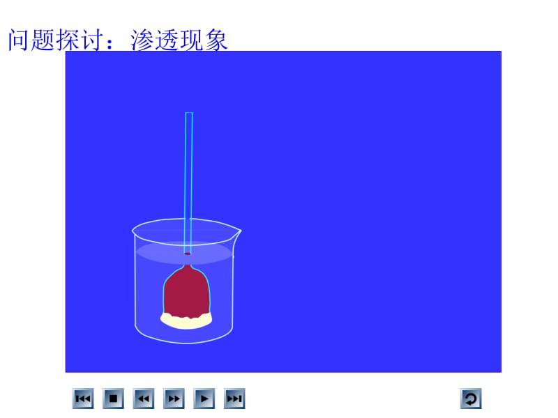 物质跨膜运输的实例(1中)Microsoft PowerPoint 演示文稿.ppt_第2页