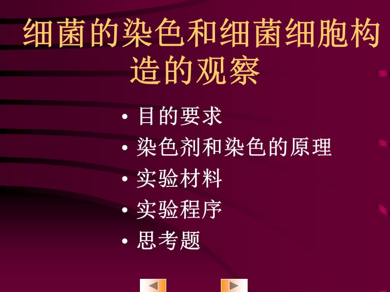 细菌的染色及观察.ppt_第2页