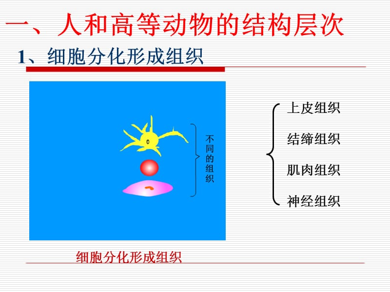 专题5 细胞怎样构成生物体--6 病毒.ppt_第1页