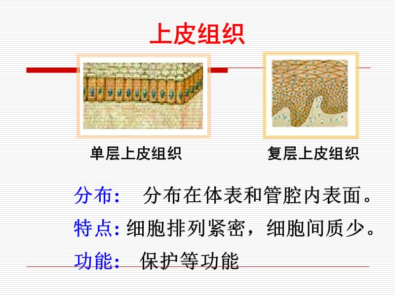 专题5 细胞怎样构成生物体--6 病毒.ppt_第3页