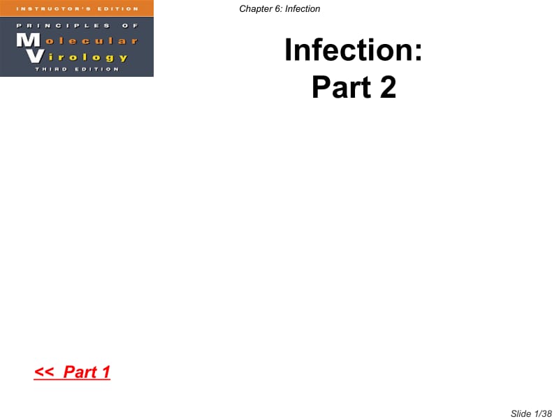 病毒学双语版课件Chapter6-2.ppt_第1页