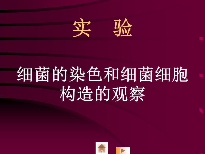 细菌的染色和细菌细胞构造的观察.ppt_第1页