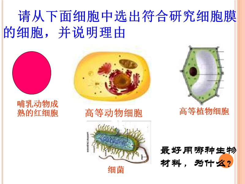 细胞膜——系统的边界.ppt_第3页