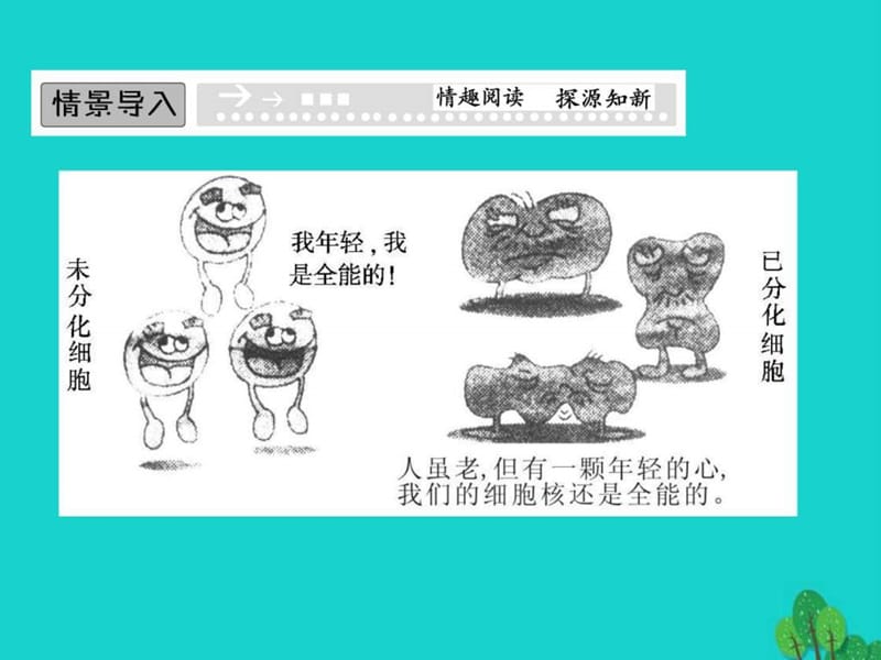 2017年高中生物第四单元细胞的生命周期第一章细胞的增....ppt.ppt_第2页