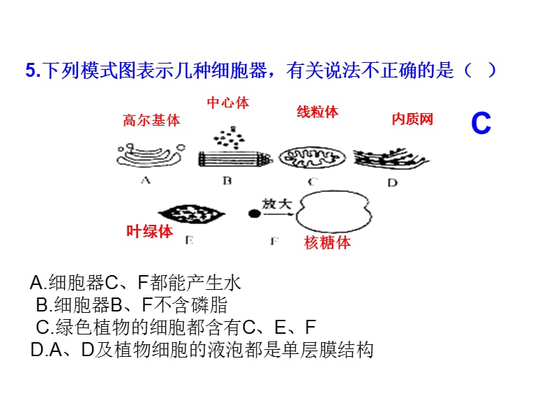 细胞器合作.ppt_第3页