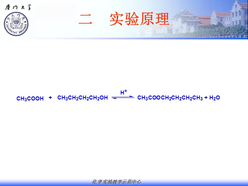 厦门大学有机化学实验 实验五 醋酸正丁酯的制备-外系.ppt_第3页