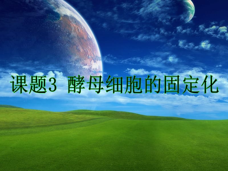 专题四酵母细胞的固定化PPT陆平.ppt_第1页