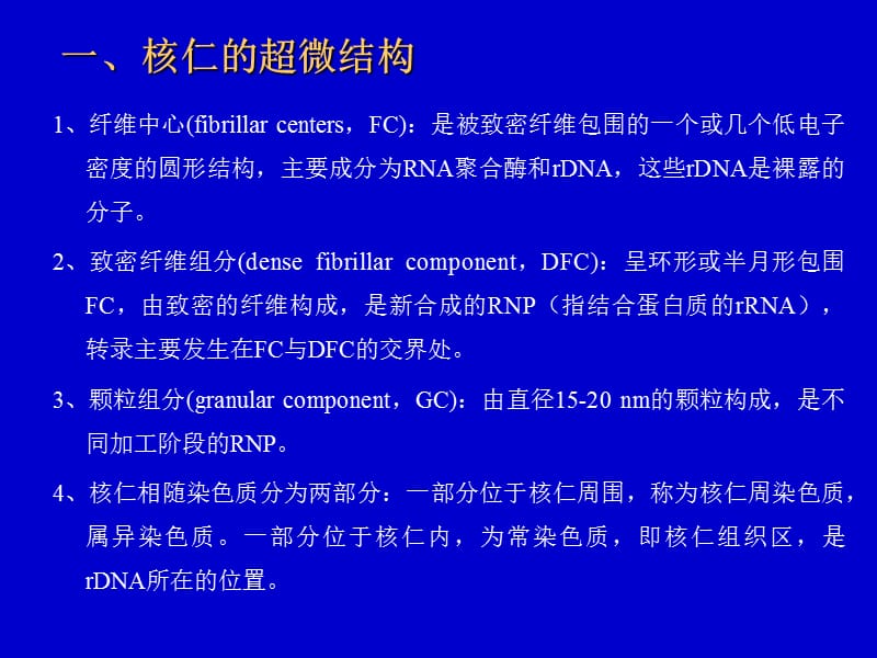 细胞核与染色体7.ppt_第3页