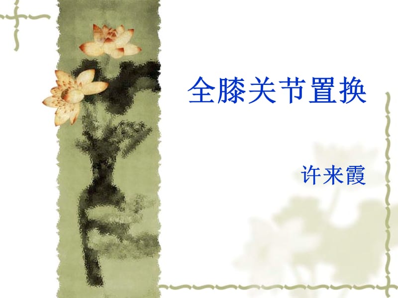 双膝关节置换.ppt_第1页