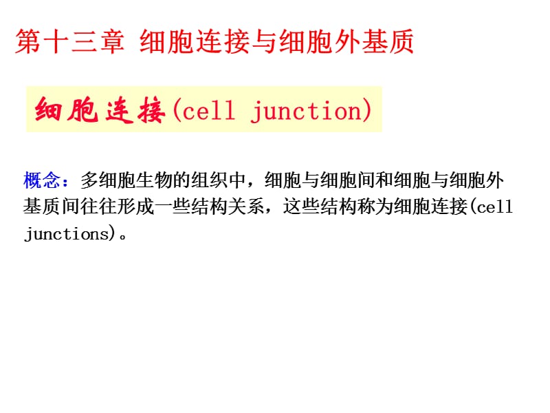 细胞生物学-细胞连接与细胞外基质.ppt_第1页