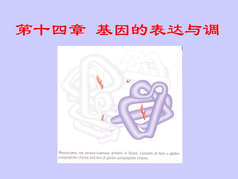 遗传学第十四章基因表达的调控.ppt_第1页