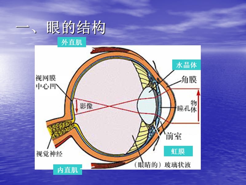 特殊儿童教育.ppt_第3页