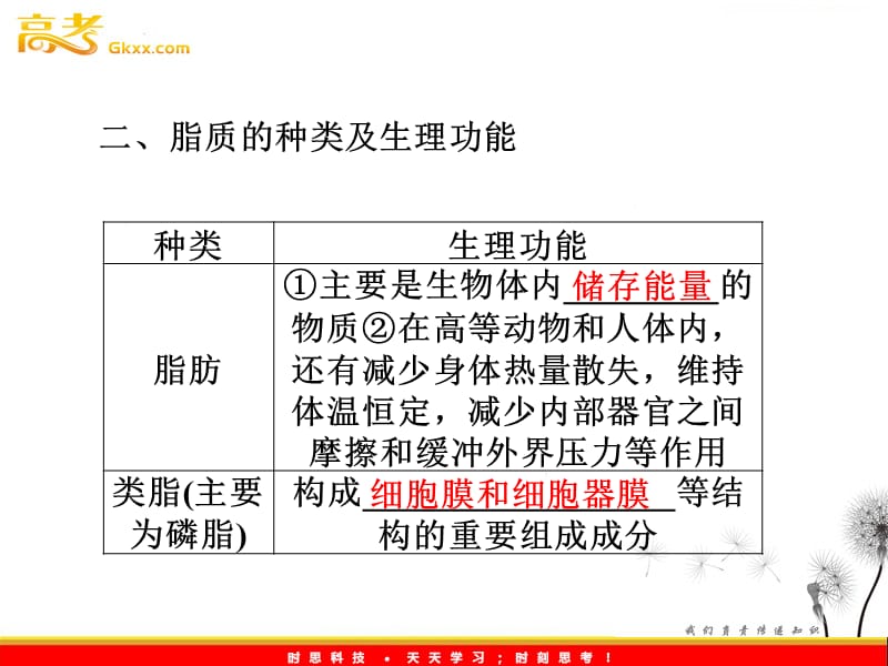 细胞的物质组成结构功能.ppt_第3页