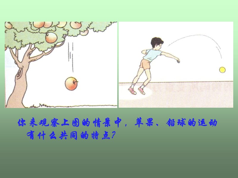 物理：教科版八年级重力.ppt_第2页