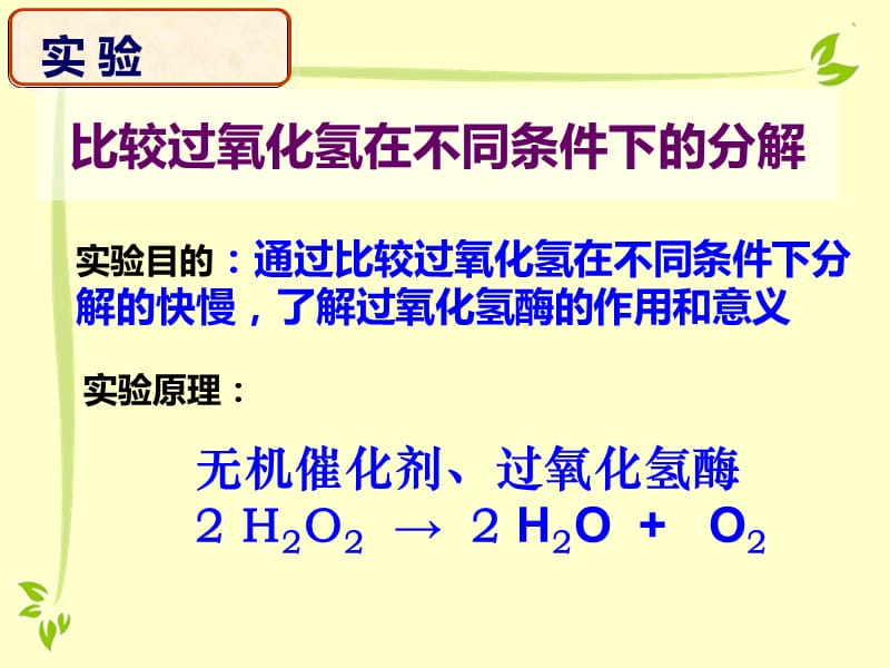 专题8 降低化学反应活化能的酶.ppt_第3页