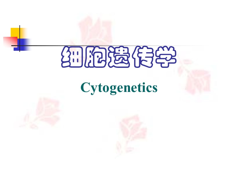 细胞遗传学 6.染色体数目变异.ppt_第1页