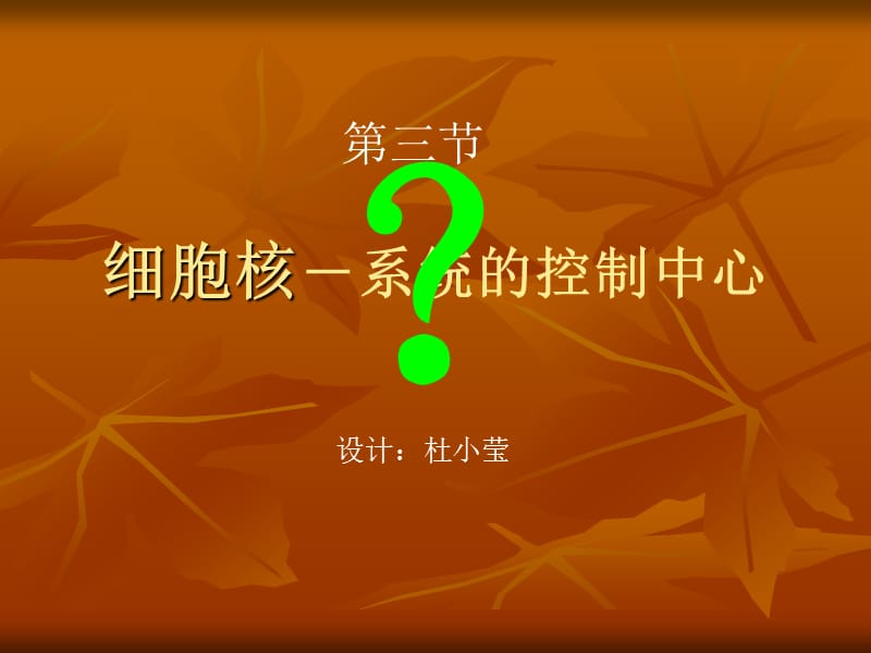 细胞核----系统的控制中心.ppt.ppt_第3页