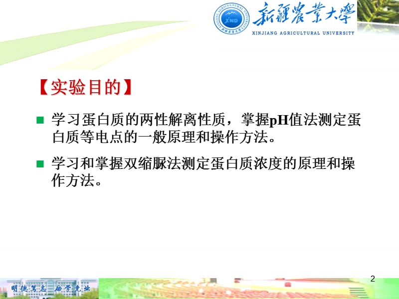 实验二 蛋白质等电点及含量测定.ppt_第2页