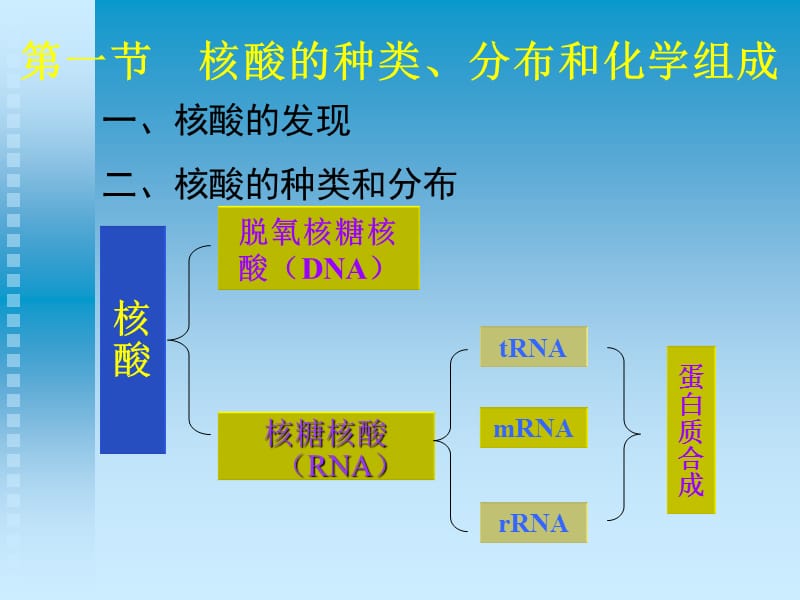 生物化学第五章 核酸.ppt_第2页