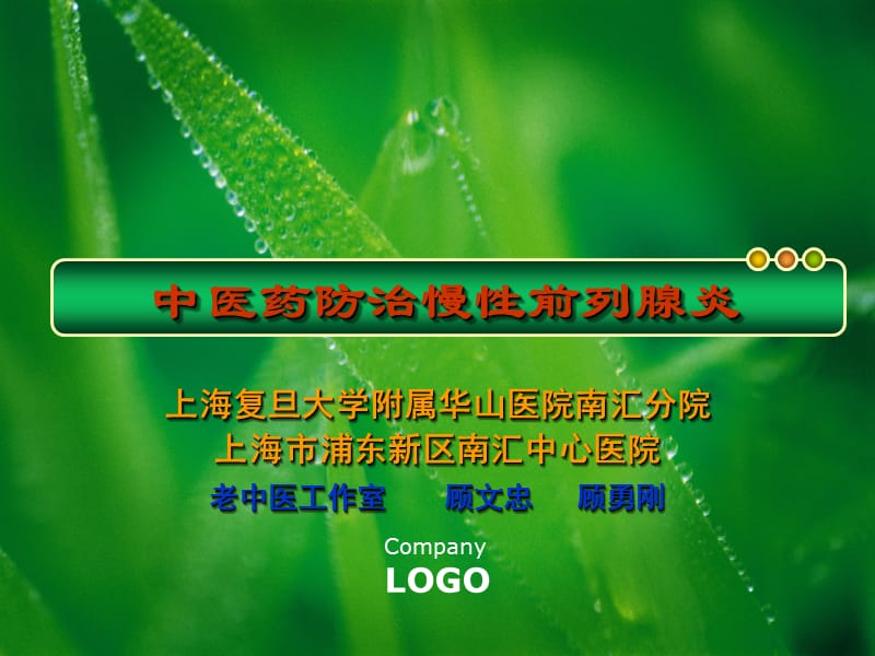 中医药防治慢性前列腺炎.ppt_第1页