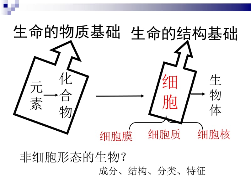 生物高二复习.ppt_第3页