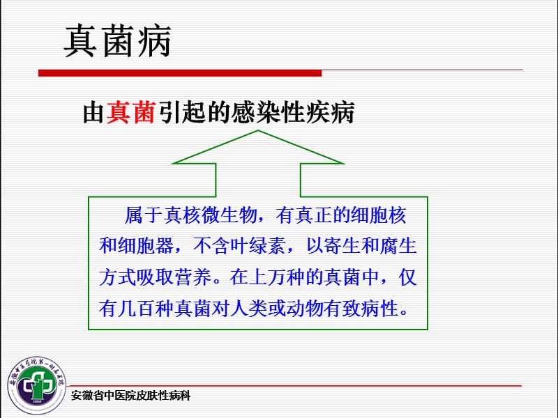 皮肤病实验室检查.ppt_第2页