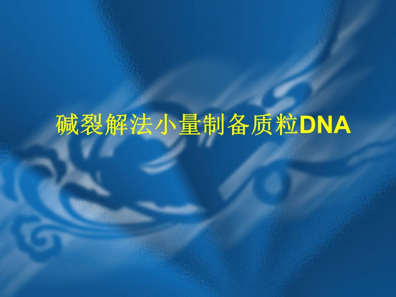 实验 一二三四---- DNA重组技术.ppt_第2页