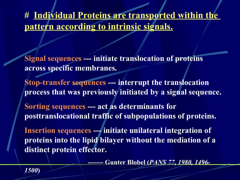 生物物理课-3.ppt_第3页