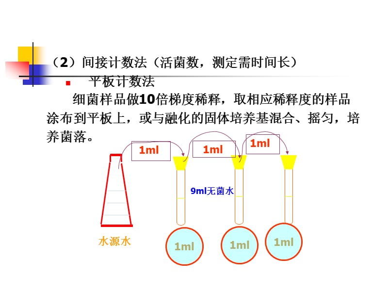 水处理生物学(第七讲).ppt_第3页