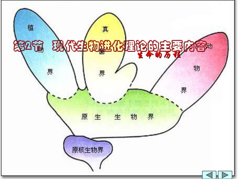 生物：7.2《现代生物进化理论的主要内容》课件(新人教版必修2).ppt_第1页