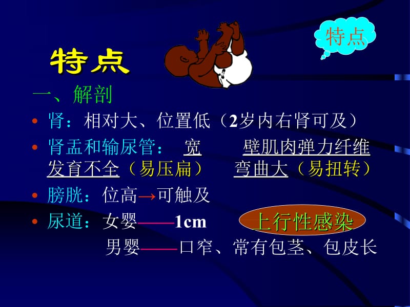 小儿泌尿疾病3合1专业分析(年轻父母必备).ppt_第3页