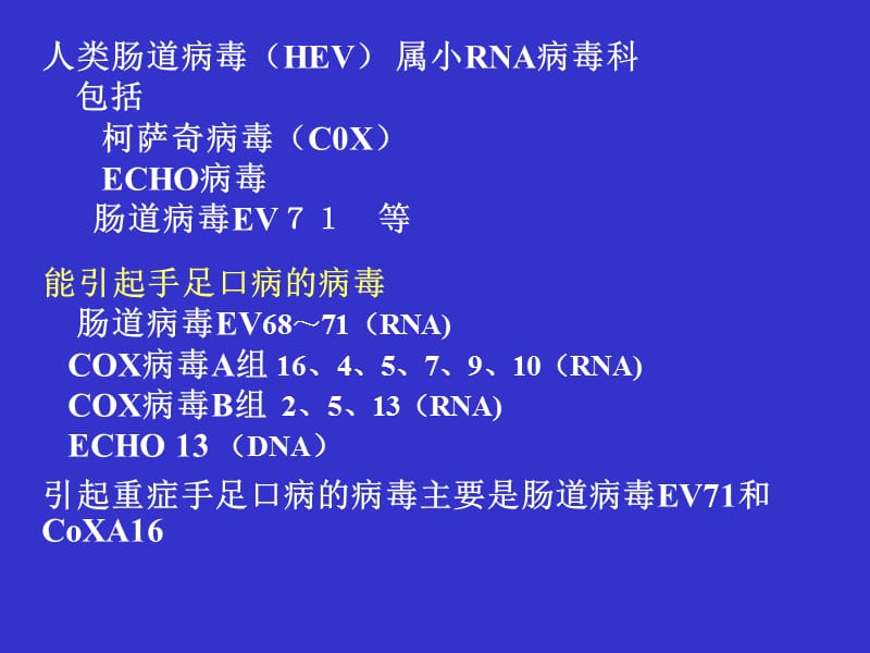 手足口病诊断治疗及预防(重症).ppt_第2页