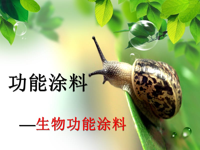 生物功能涂料.ppt_第1页