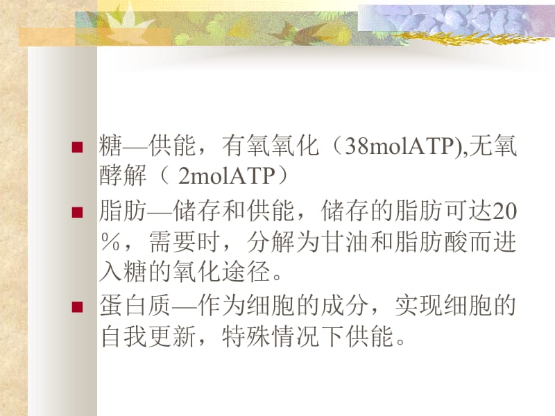 生理学第七章 能量代谢和体温.ppt_第3页