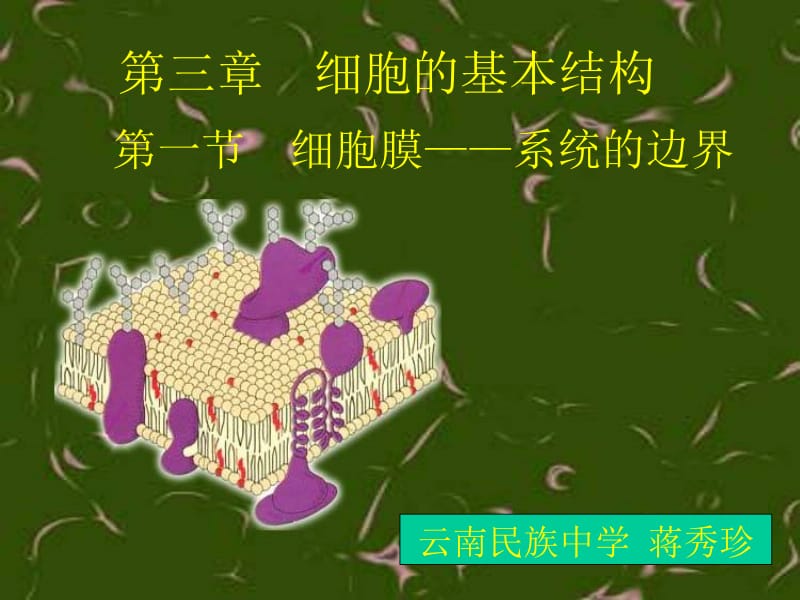 生物：3.1《细胞膜--系统的边界》课件(3)(新人教版必修1).ppt_第1页