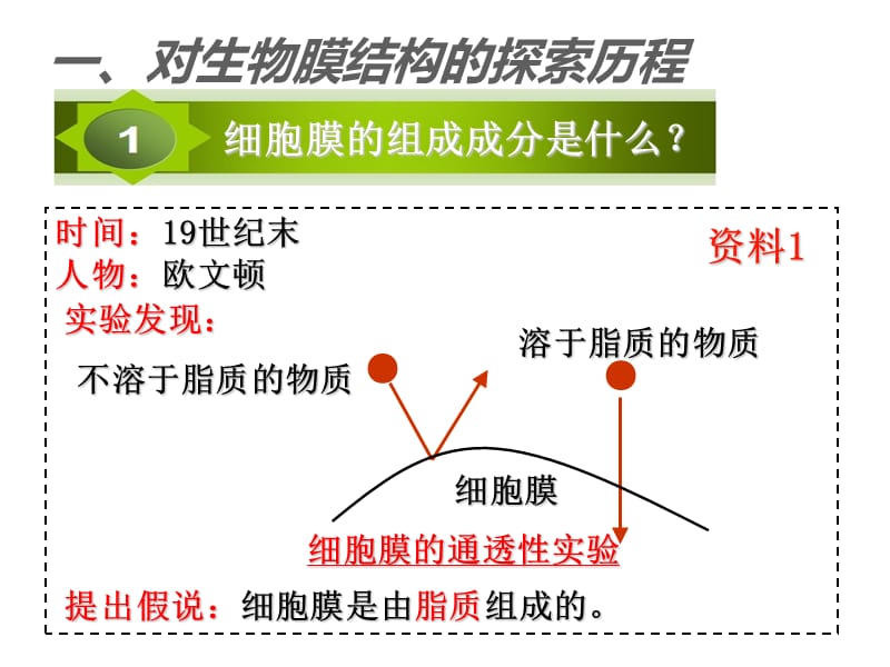 生物—先晓波 生物膜的流动镶嵌模型.ppt_第3页