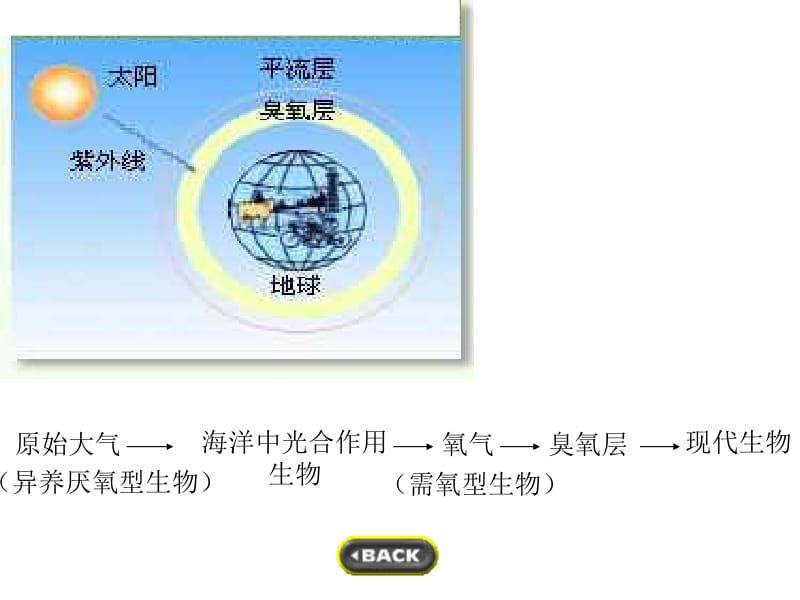 生物圈的稳态.ppt_第3页