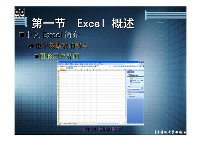 统计基础知识 第十一章 EXCEL在系统中的应用.ppt_第2页