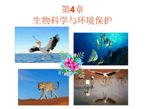 生物性污染及其防治.ppt