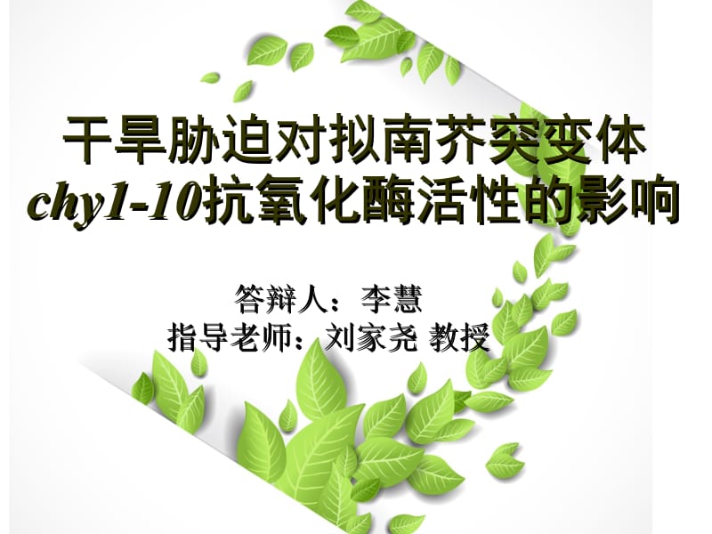 生物技术专业毕业论文ppt.ppt_第1页