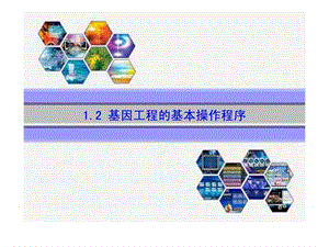 生物1.2《基因工程的基本操作程序》课件1(新人教版选..._1772154499.ppt.ppt