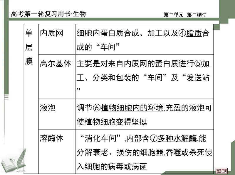 生物一轮复习 8 第二课时.ppt_第3页