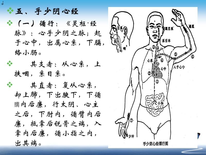 手少阴心经.ppt_第3页