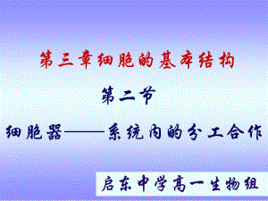 生物：3.2《细胞器——系统内的分工合作》课件(新人教版必修1)(3).ppt