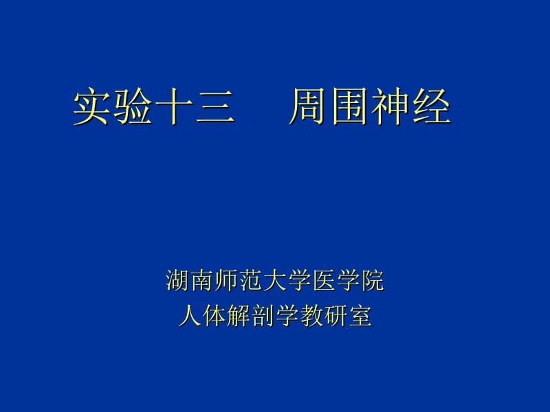 周围神经 实验.ppt_第1页