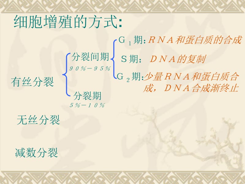 生物：5.1《细胞增殖》课件1(苏教版必修1).ppt_第2页